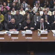 Illustration for article titled Congressional Birth Control Hearing Involves Exactly Zero People Who Have a Uterus